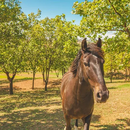 Feriegård Casale Poggio Nebbia *
