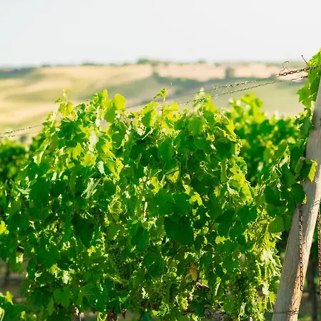 Casale Poggio Nebbia * Tarquinia