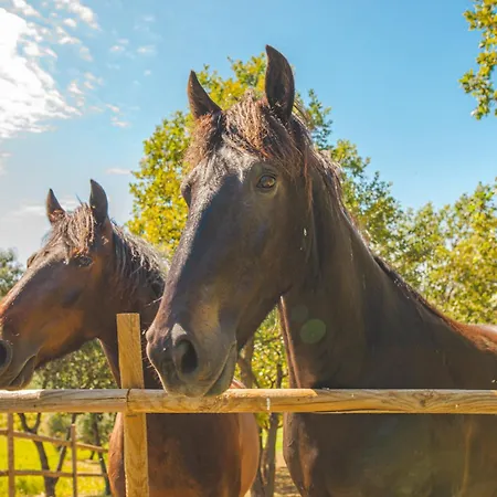 Casale Poggio Nebbia *