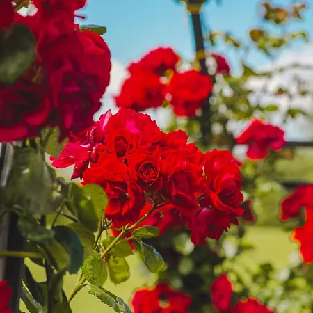 Casale Poggio Nebbia Tarquinia